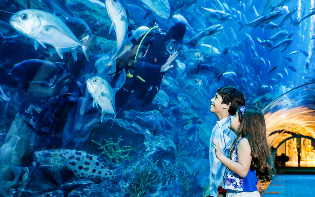 visit-the-underwater-zoo